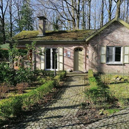 Rainbow Lodge Ursel Zewnętrze zdjęcie