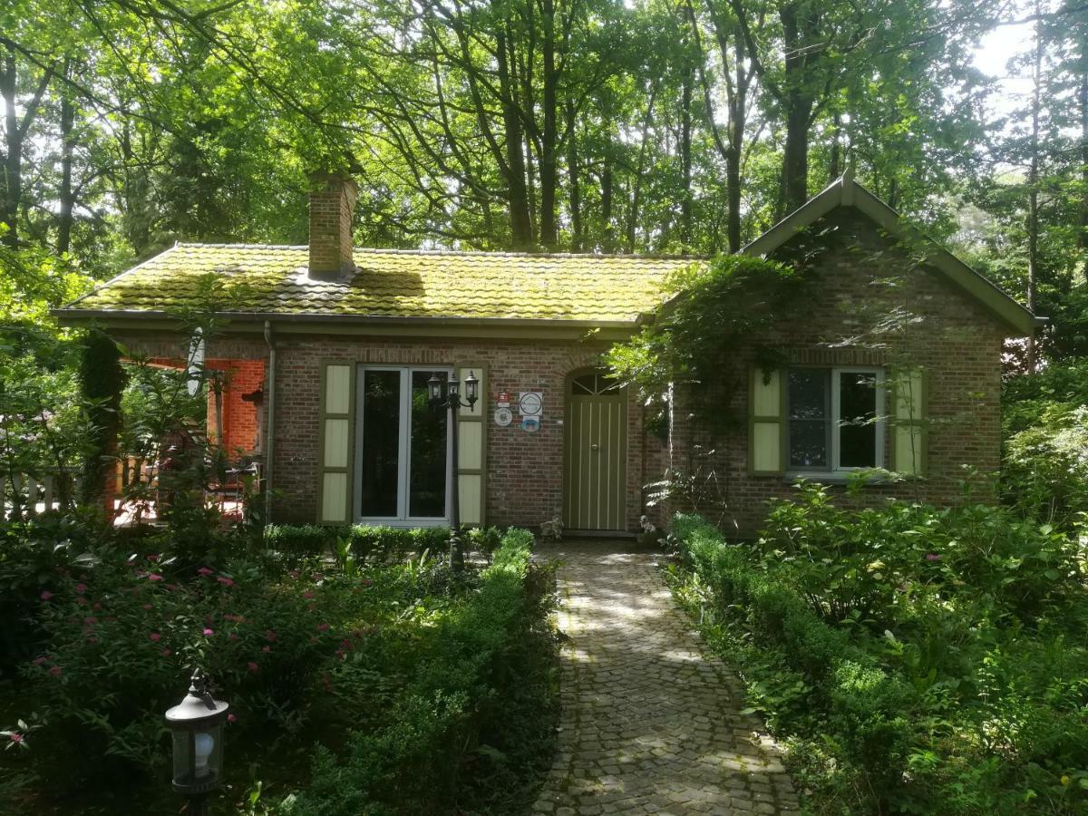 Rainbow Lodge Ursel Zewnętrze zdjęcie